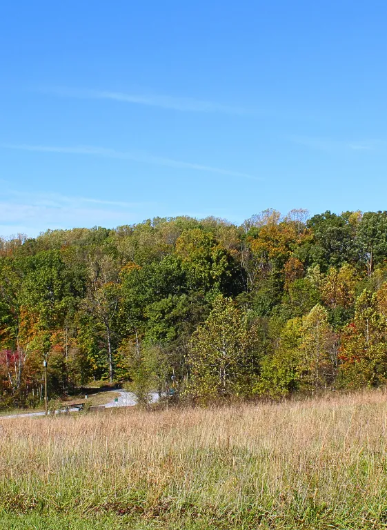An open meadow at Serenity Ridge